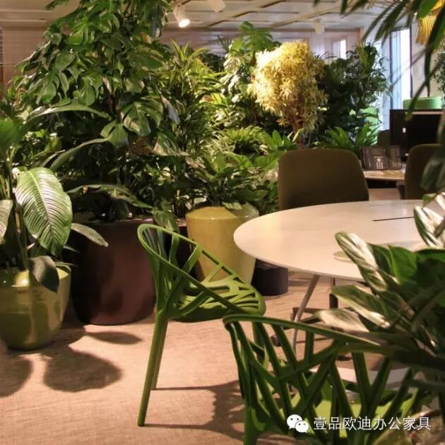 為什么辦公室里一定要養植物？-壹品歐迪辦公家具