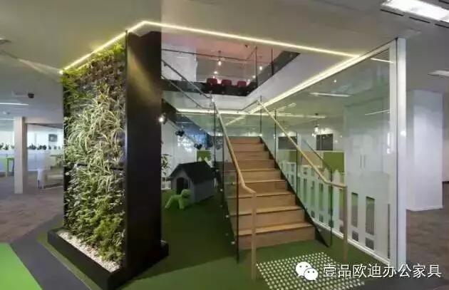 為什么辦公室里一定要養植物？-壹品歐迪辦公家具