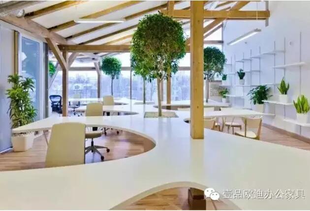 為什么辦公室里一定要養植物？-壹品歐迪辦公家具