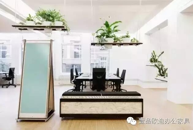 為什么辦公室里一定要養植物？-壹品歐迪辦公家具